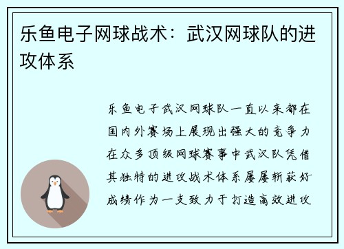 乐鱼电子网球战术：武汉网球队的进攻体系