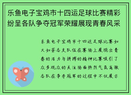 乐鱼电子宝鸡市十四运足球比赛精彩纷呈各队争夺冠军荣耀展现青春风采