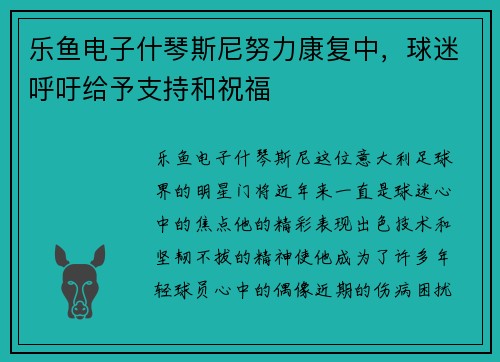 乐鱼电子什琴斯尼努力康复中，球迷呼吁给予支持和祝福