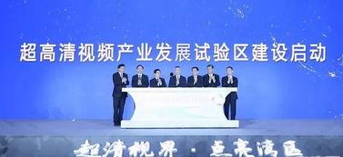 日韩企业倒闭纪录片视频,揭秘产业变革下的兴衰之路 日韩企业倒闭纪录片视频,揭秘产业变革下的兴衰之路