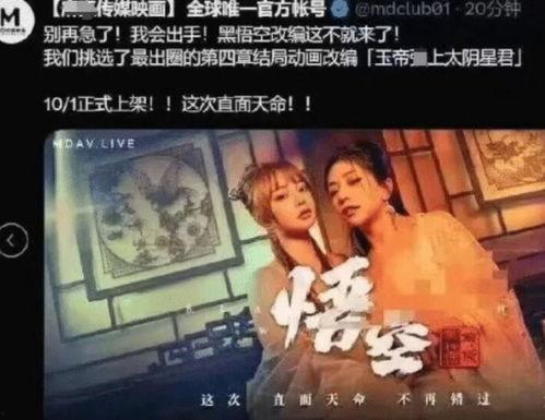 成人片的教程视频,专业技巧与行业规范全解析 成人片的教程视频,专业技巧与行业规范全解析