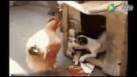 隔壁偷录在线无码,揭秘网络隐私边界 隔壁偷录在线无码,揭秘网络隐私边界